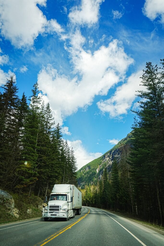 What is a MVR check for driving records and background checks