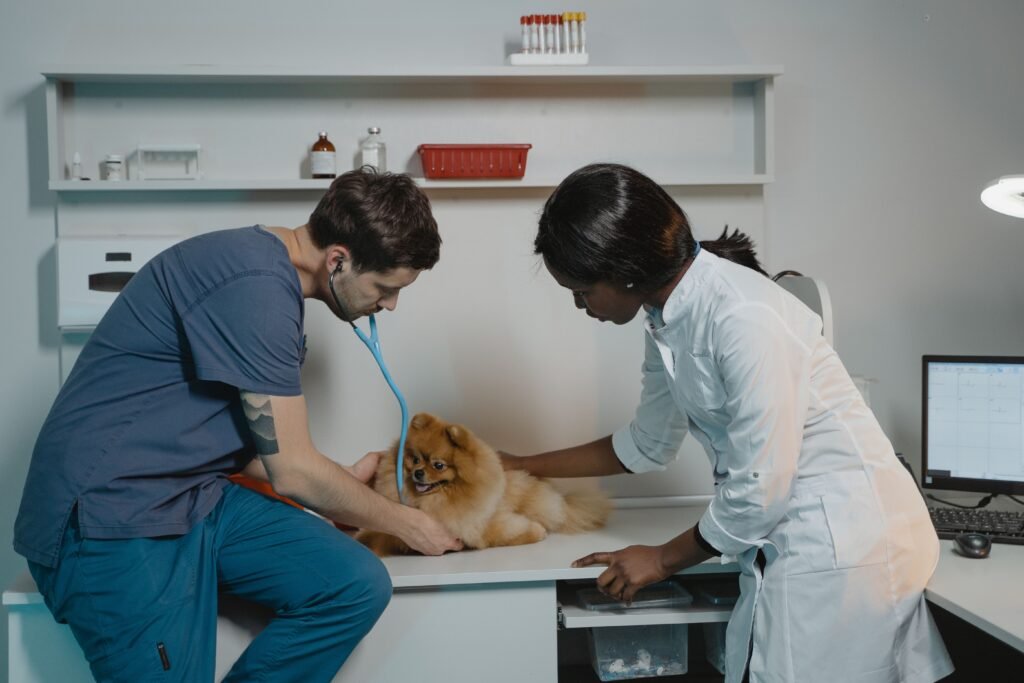 How to fix dogs bad breath with simple and safe dental care