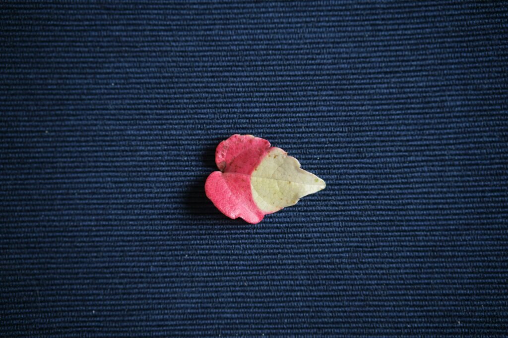 How to Make Heart Out of Gum Wrapper 2 Easy Methods + Tips guide to folding a gum wrapper into a heart with simple DIY techniques.