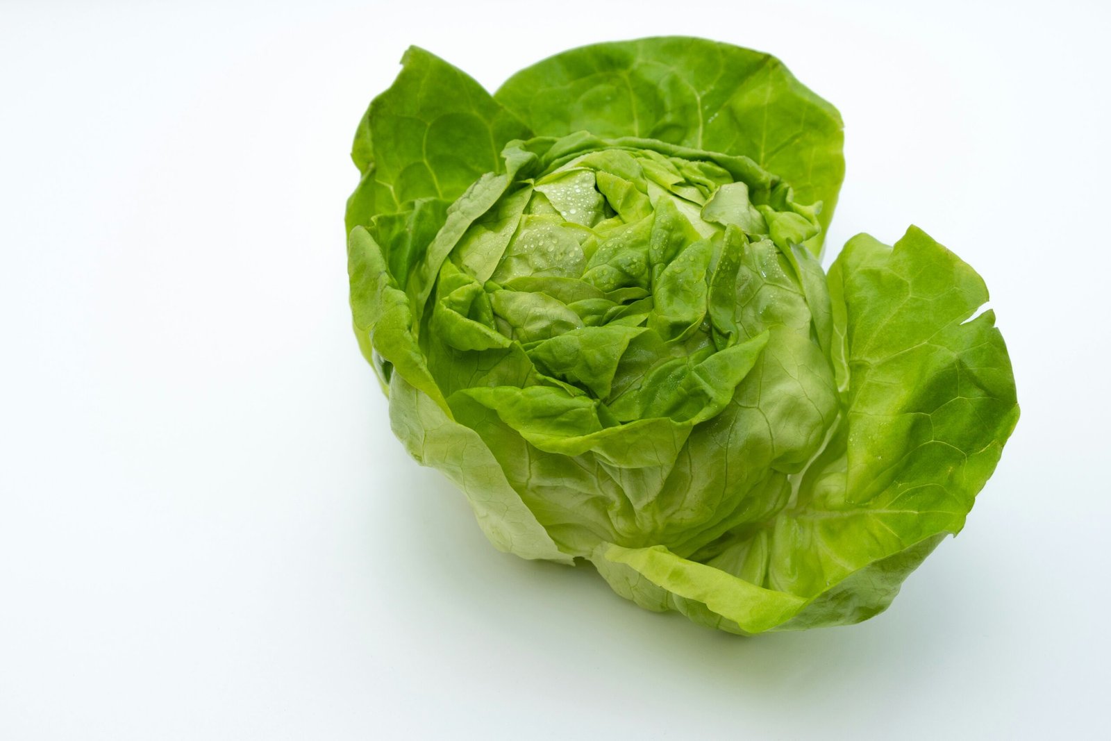 Why Does Lettuce Turn Pink? featuring pink lettuce causes, oxidation, freshness, food safety, storage, and spoilage signs.