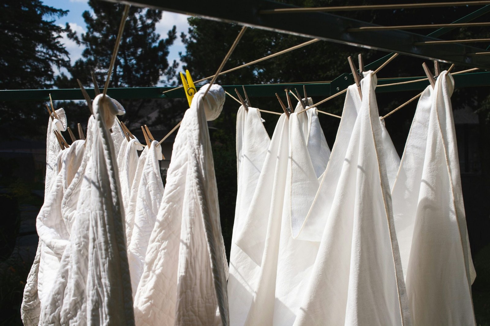 How to Get Tree Sap Out of Clothes Effective Methods for Fresh and Dried Stains featuring sap removal, stain treatment, fabric cleaning, and laundry care.