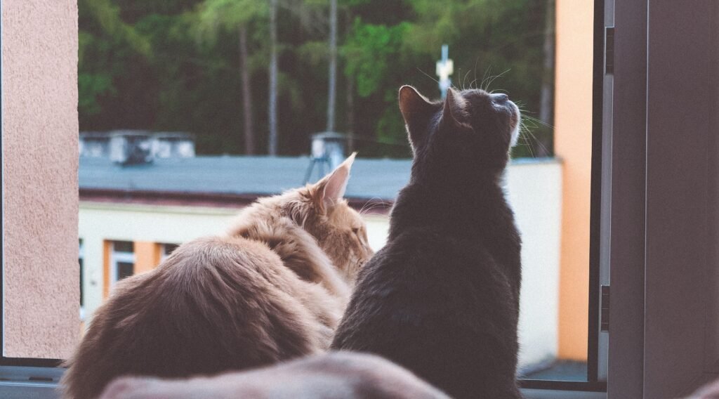 Why are fleas so hard to kill with flea life cycle explained