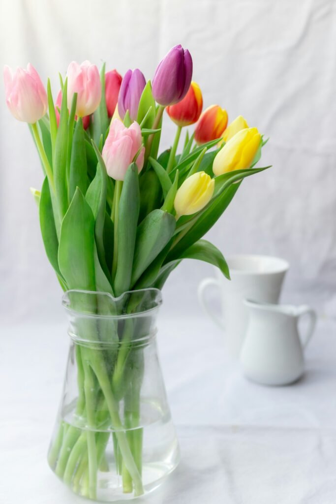 Why Are My Tulips Drooping? covering wilting flowers, bent stems, water levels, temperature, sunlight, and tulip care.